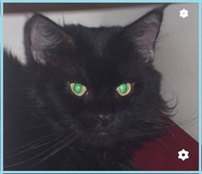 Hummer Duch Ekstazy - мейн-кун