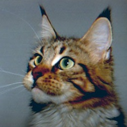 Willowplace Party Doll