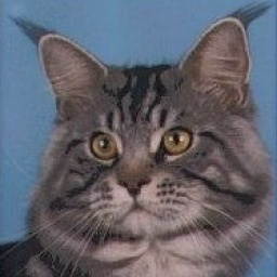 Willowplace Jubilation of Winfield