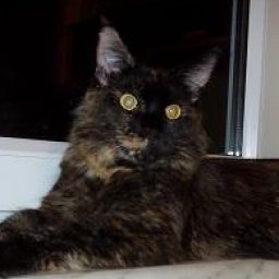 Love Hulen's Private Dancer