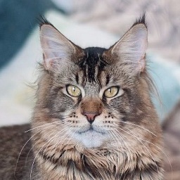 D'Jackpot Just a Dream