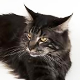 Duran Duran Seventh Fleet