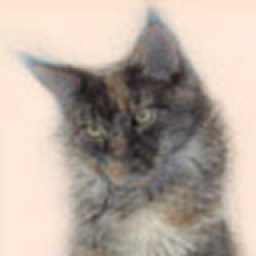 H.T. Exclusiv Atlantica