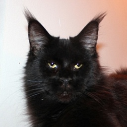 HoneyDevil L'Violet Night