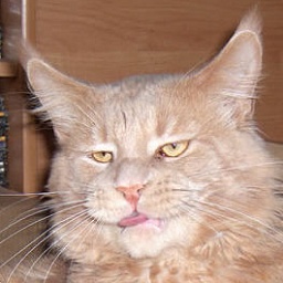 Aramis de Maison-Madelis