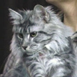 Mountaineer Blue Evian