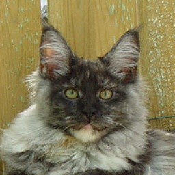 Aloa's Enja Princess