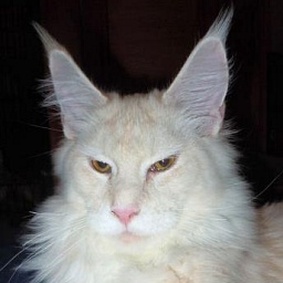 Behold When God's People Pray