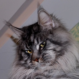 Summerplace Number One